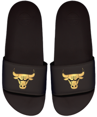 Chicago Bulls Motto Slide