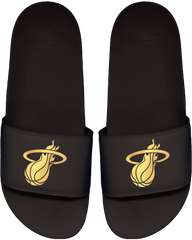 Miami Heat Motto Slide