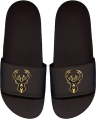 Milwaukee Bucks Motto Slide