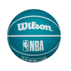 Charlotte Hornets NBA Dribbler Bouncy Ball