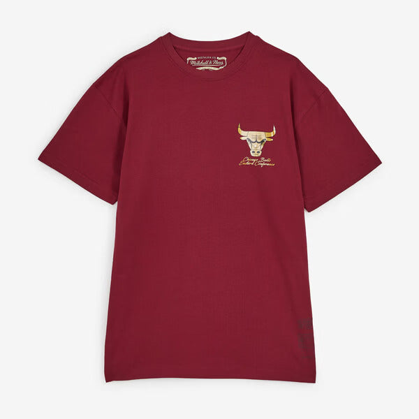 Mens Chicago Bulls Shiny Emb Logo T-Shirt