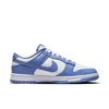 Mens Dunk Low Retro Shoe