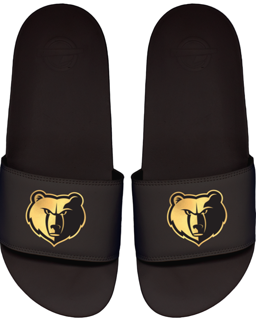 Memphis Grizzlies Motto Slide