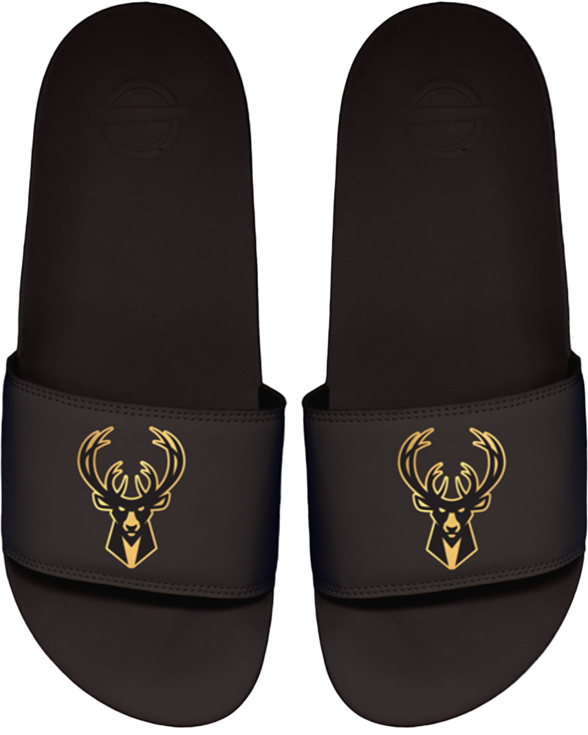 Milwaukee Bucks Motto Slide
