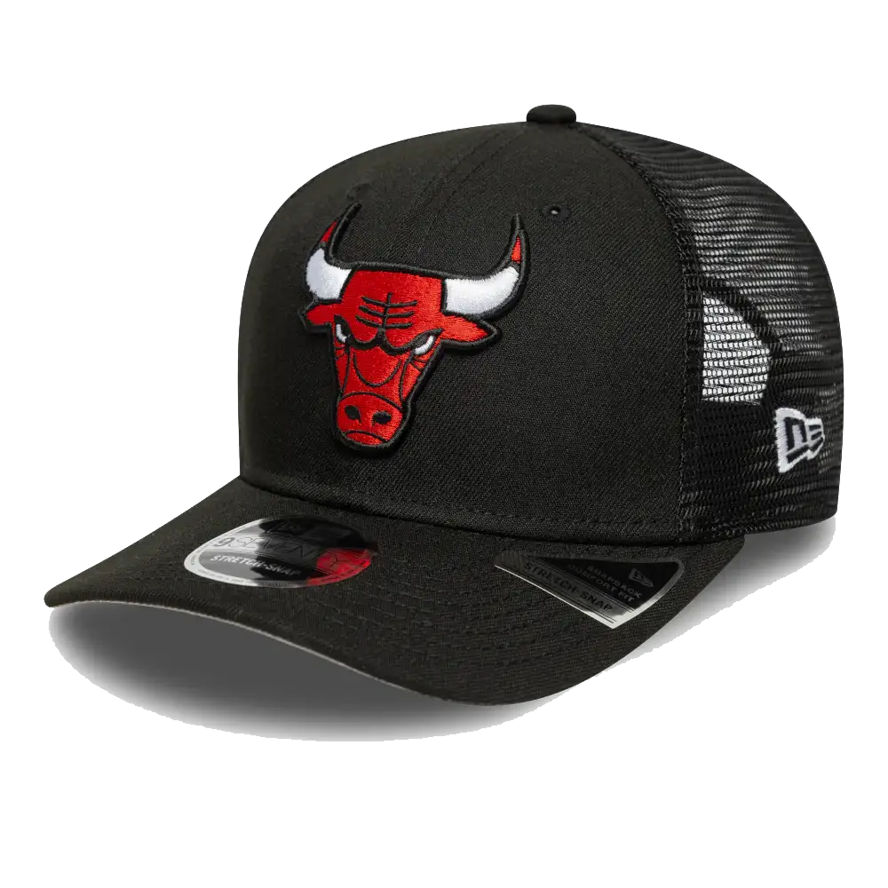 Chicago Bulls 970 Stretch Snap Adjustable Cap