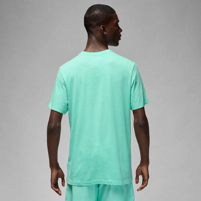 Mens Jumpman Embroidered Crewneck T-Shirt