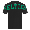 Mens Boston Celtics Wingspan T-Shirt
