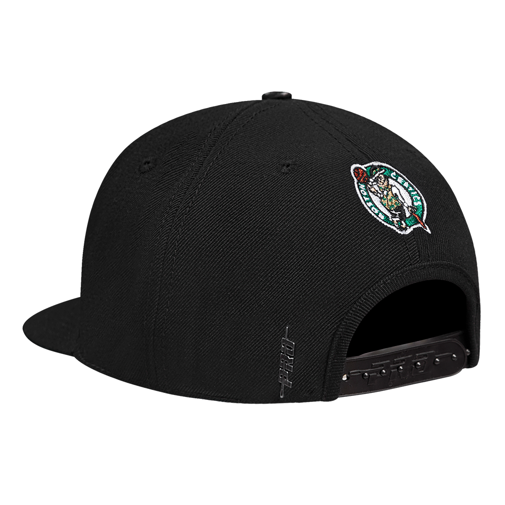 Mens Boston Celtics Wingspan Snapback Cap