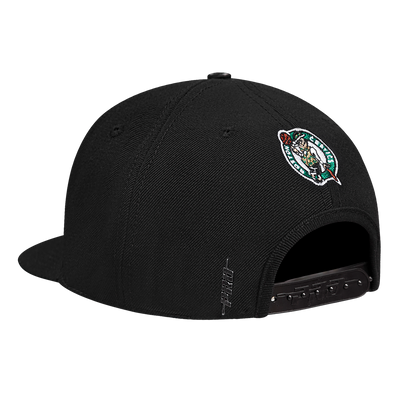 Mens Boston Celtics Wingspan Snapback Cap