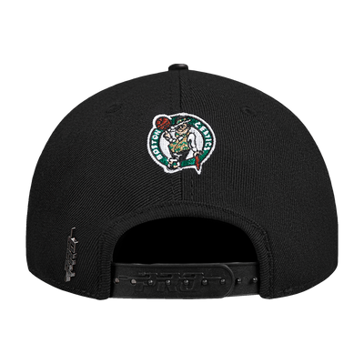 Mens Boston Celtics Wingspan Snapback Cap