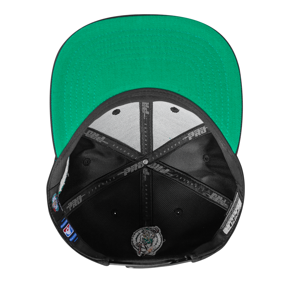 Mens Boston Celtics Wingspan Snapback Cap