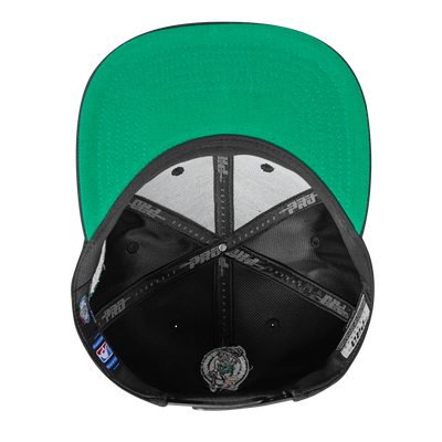 Mens Boston Celtics Wingspan Snapback Cap