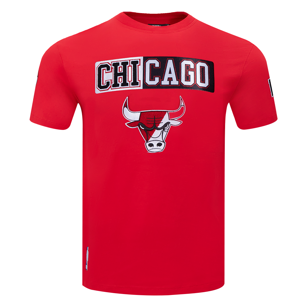 Mens Chicago Bulls Split Logo T-Shirt