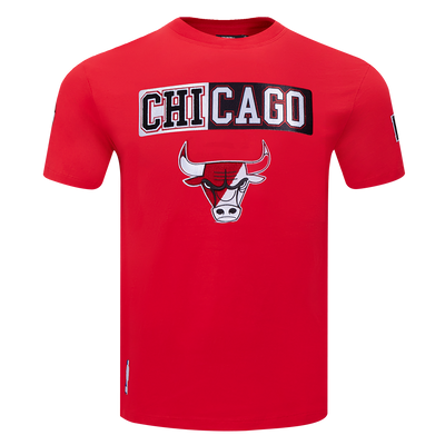 Mens Chicago Bulls Split Logo T-Shirt