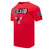 Mens Chicago Bulls Split Logo T-Shirt
