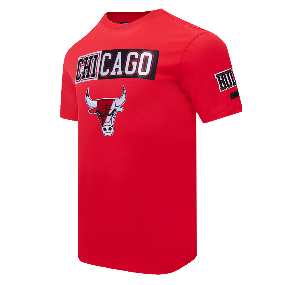 Mens Chicago Bulls Split Logo T-Shirt