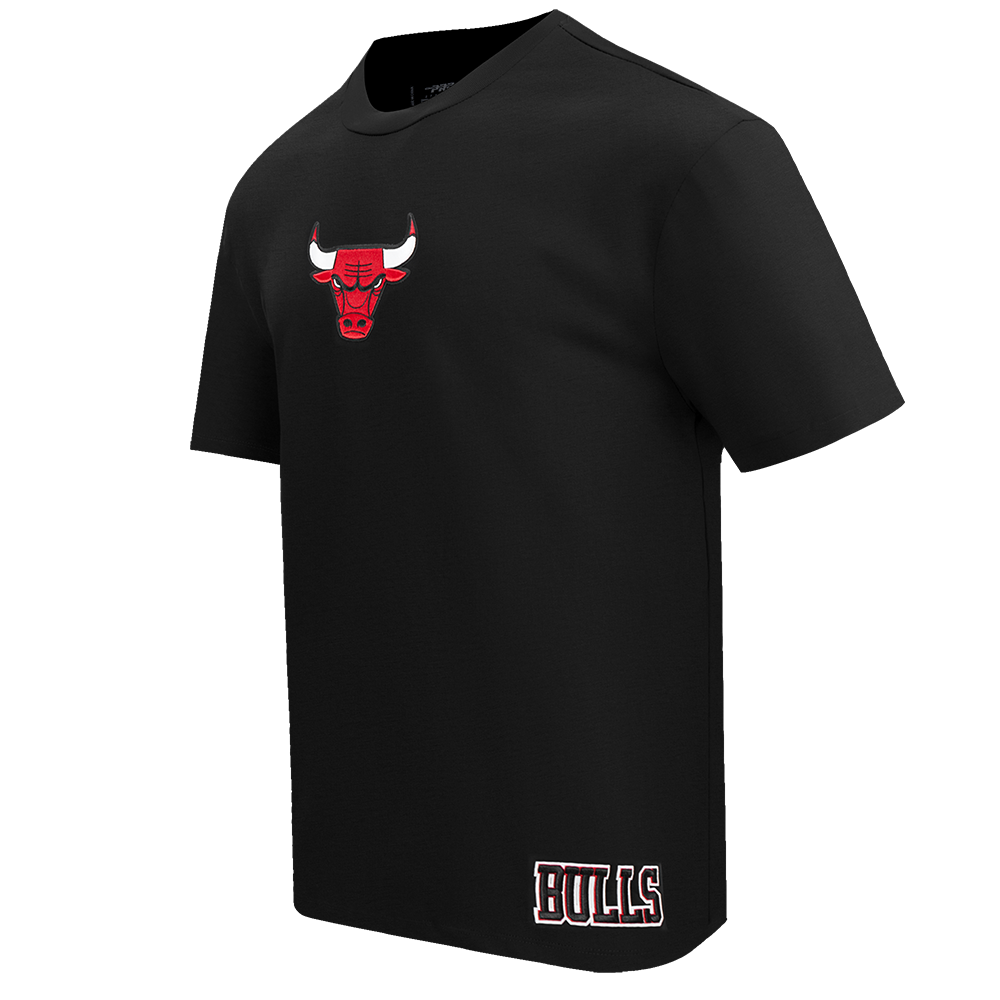 Mens Chicago Bulls Wingspan T-Shirt