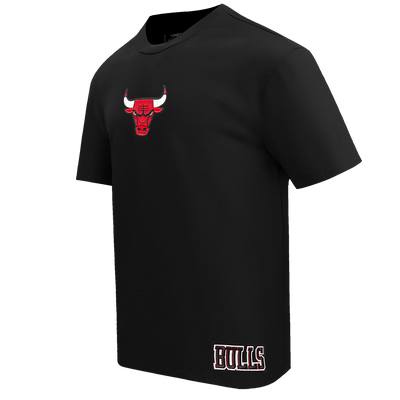 Mens Chicago Bulls Wingspan T-Shirt