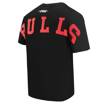 Mens Chicago Bulls Wingspan T-Shirt