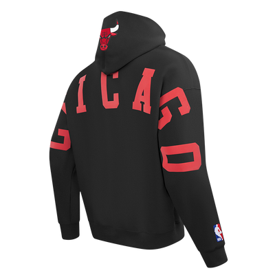 Mens Chicago Bulls Wingspan Fleece Hoodie