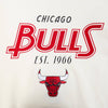 Mens Chicago Bulls Paradise Fleece PO Hoodie