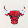 Mens Chicago Bulls Paradise Fleece PO Hoodie