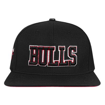 Mens Chicago Bulls Wingspan Snapback Cap