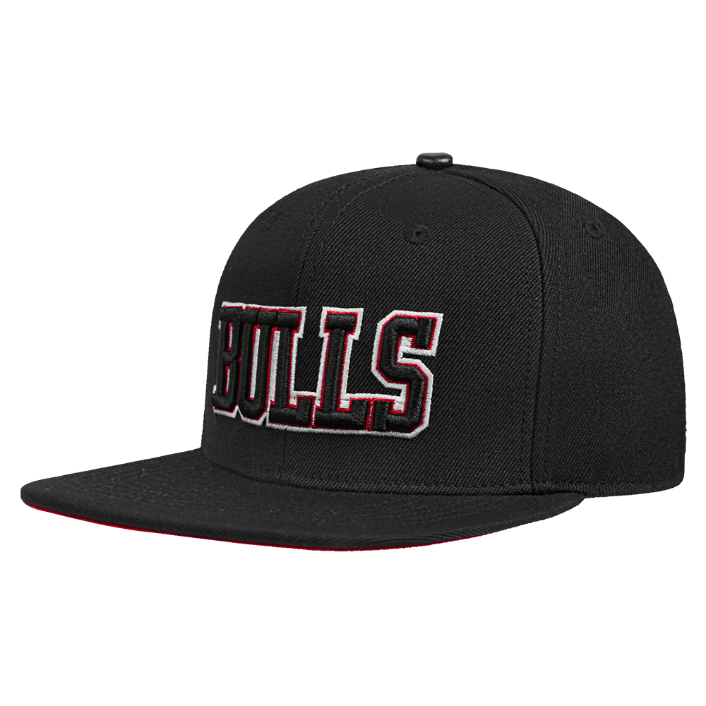 Mens Chicago Bulls Wingspan Snapback Cap