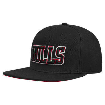 Mens Chicago Bulls Wingspan Snapback Cap