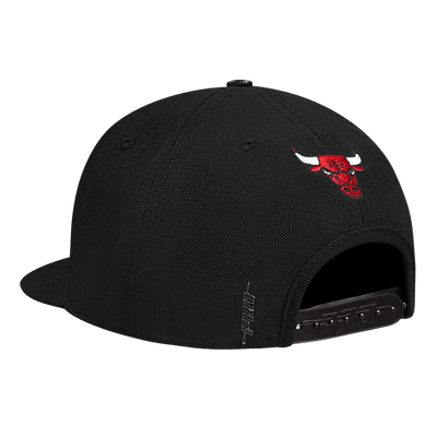 Mens Chicago Bulls Wingspan Snapback Cap