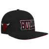 Mens Chicago Bulls Wingspan Snapback Cap