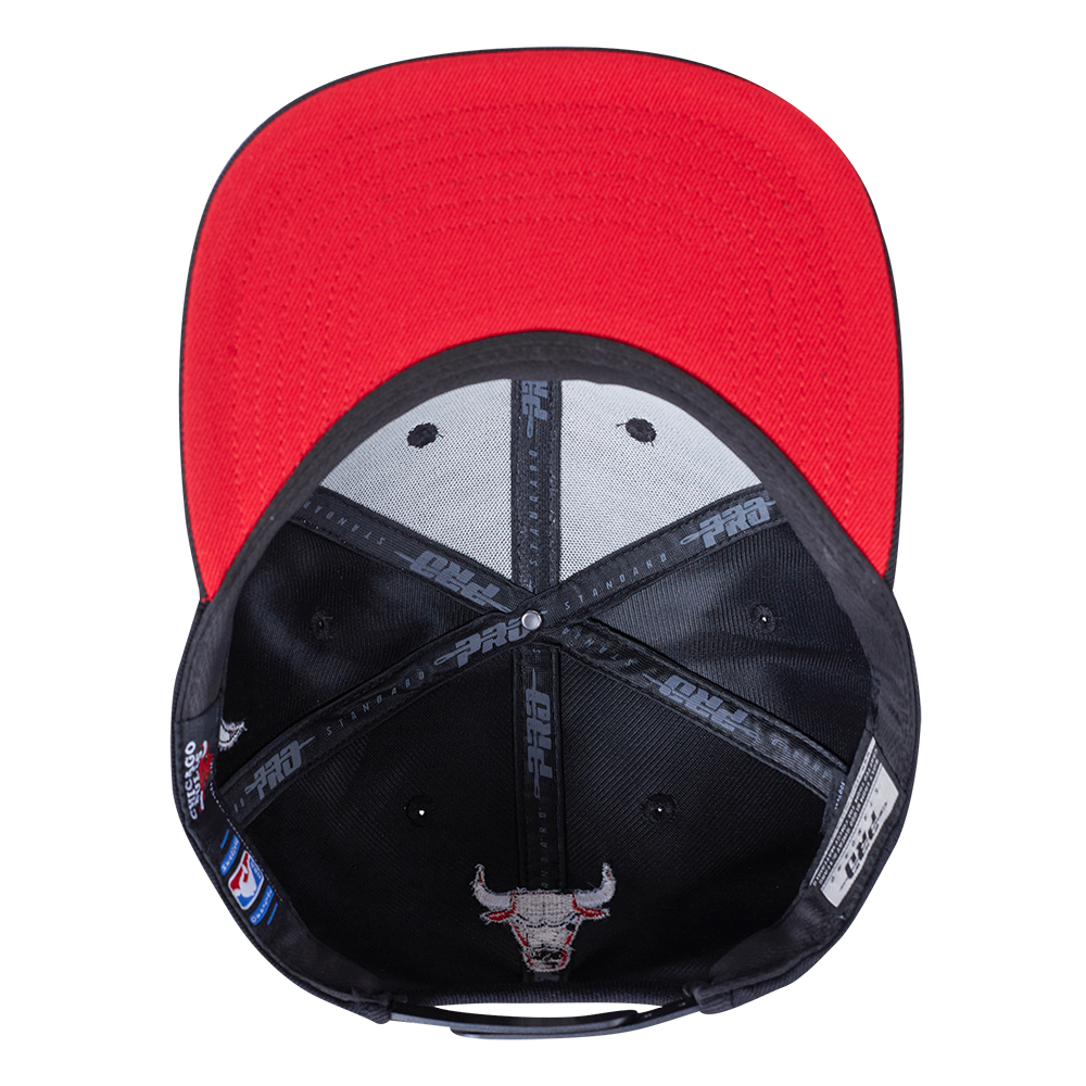 Mens Chicago Bulls Wingspan Snapback Cap