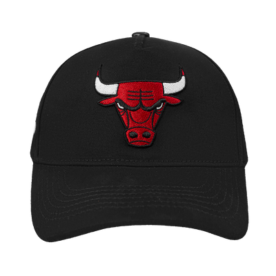 Mens Chicago Bulls Classic Logo Snapback Cap