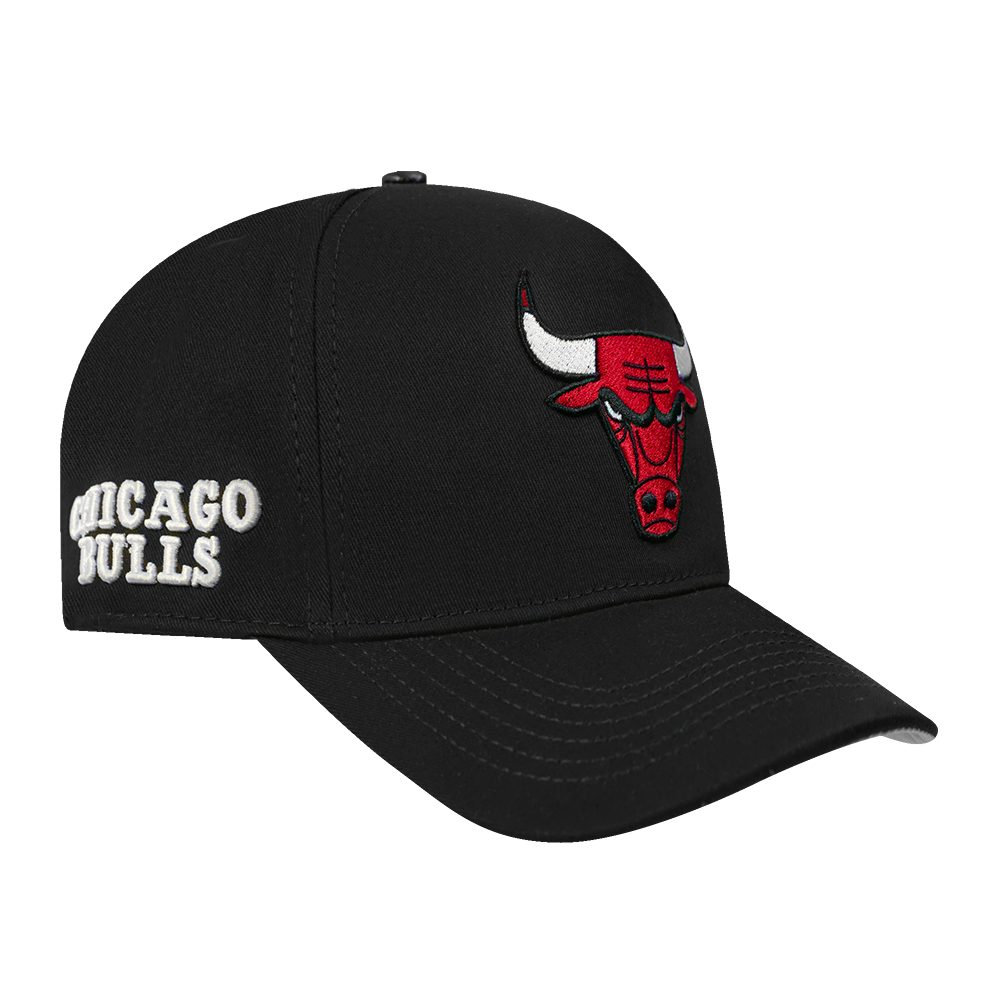 Mens Chicago Bulls Classic Logo Snapback Cap