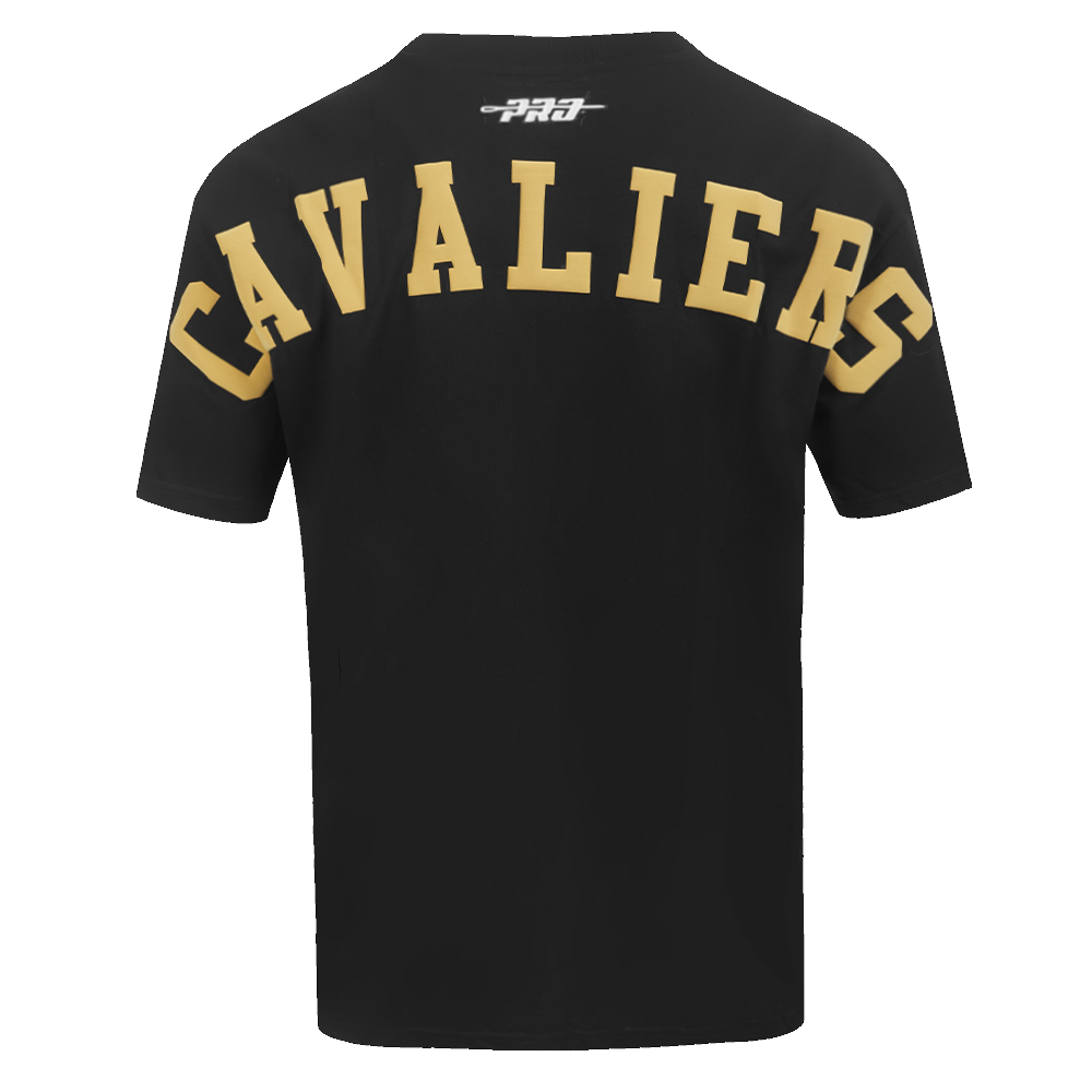 Mens Cleveland Cavaliers Wingspan T-Shirt