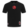 Mens Toronto Raptors Wingspan T-Shirt
