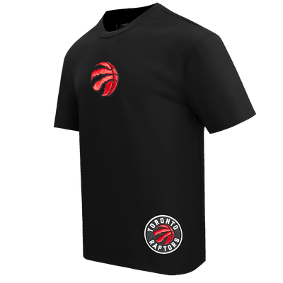 Mens Toronto Raptors Wingspan T-Shirt