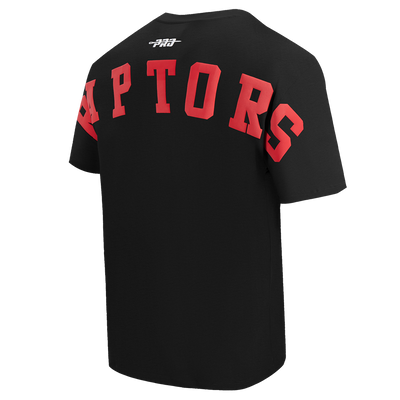 Mens Toronto Raptors Wingspan T-Shirt