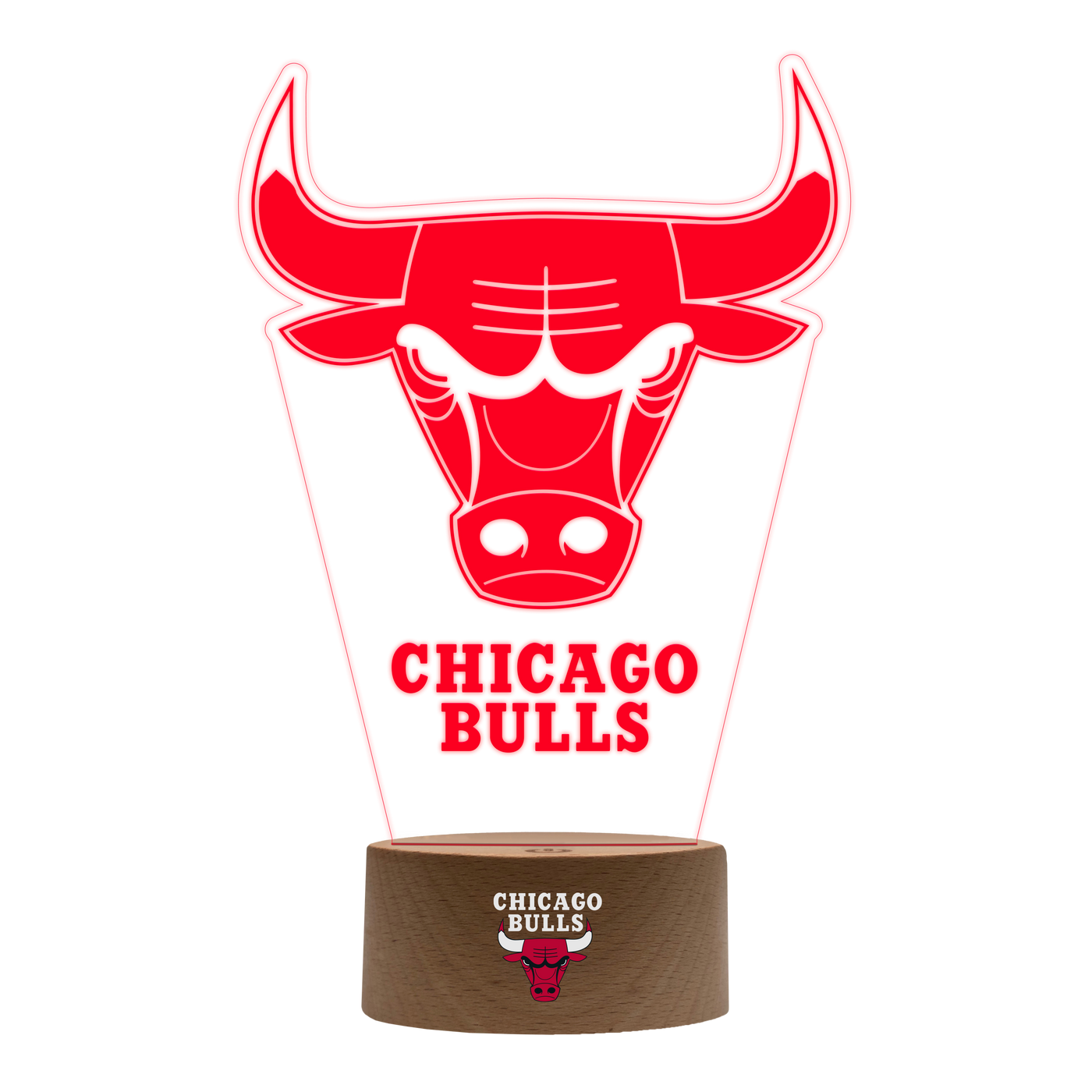 Chicago Bulls LED Light