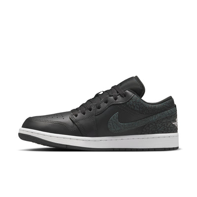 Mens Air Jordan 1 Low Shoe