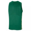 Mens Boston Celtics Tank