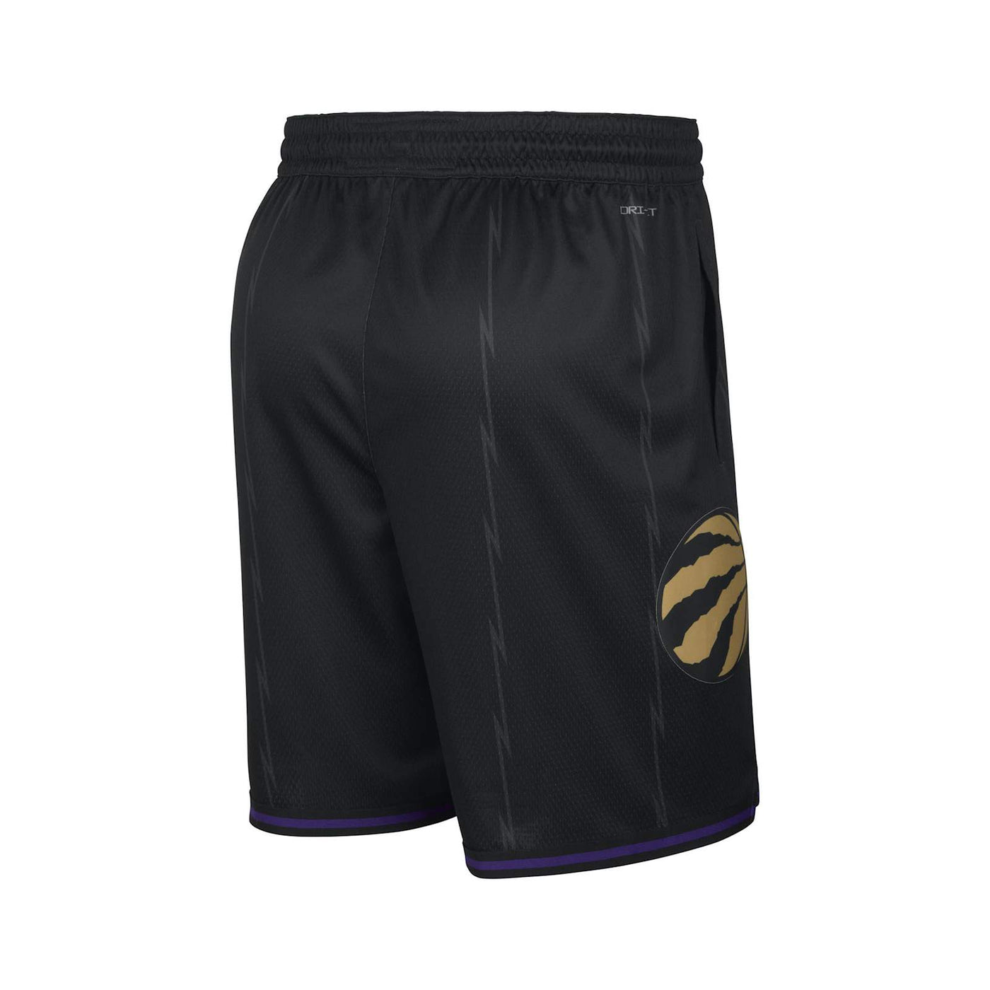 Mens Toronto Raptors CE 24 Shorts