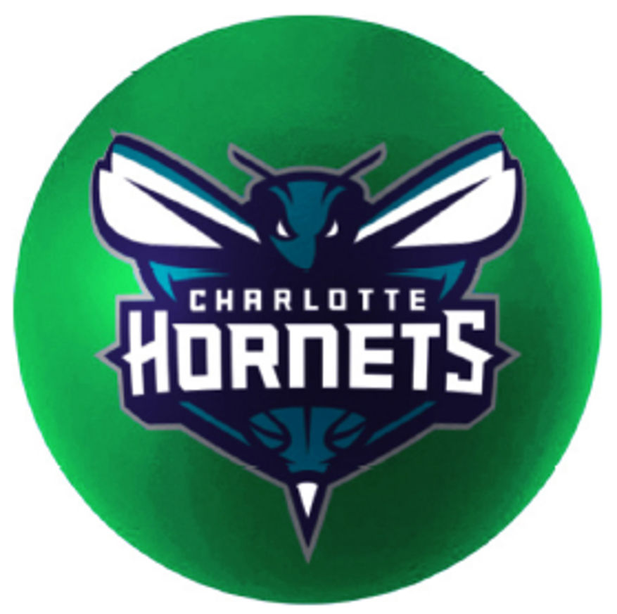 Charlotte Hornets High Bounce Mini PU Ball