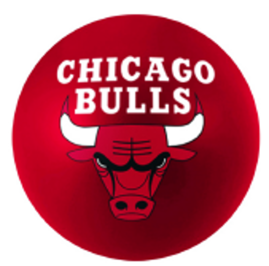 Chicago Bulls High Bounce Mini PU Ball