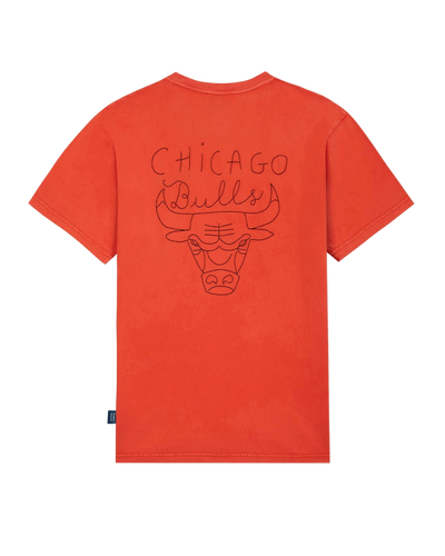 Mens Chicago Bulls Le Patureau T-Shirt