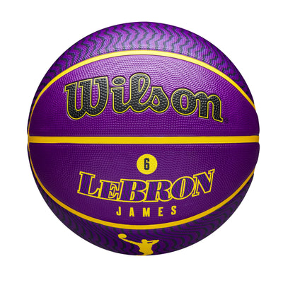 Lebron James Player Icon Outdoor Basketball