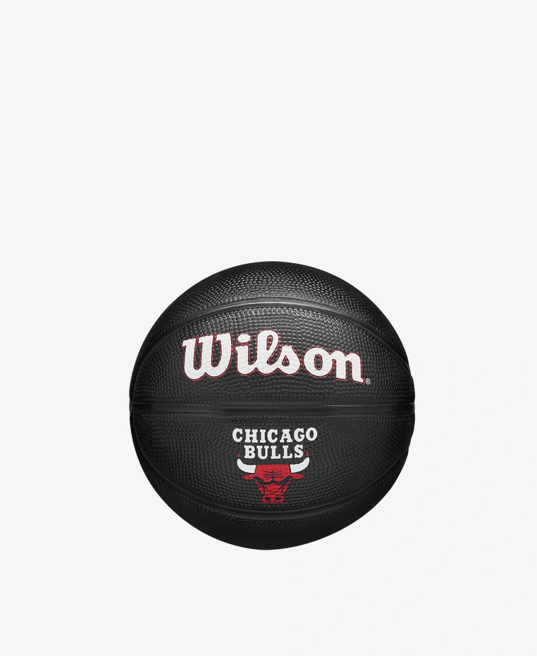 Chicago Bulls Team Tribute Mini Basketball