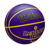 NBA Lebron James Icon Outdoor Basketball