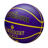 NBA Lebron James Icon Outdoor Basketball
