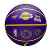 NBA Lebron James Icon Outdoor Basketball